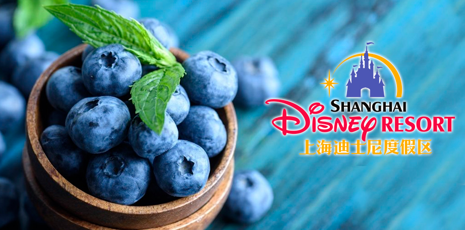 Arándanos peruanos se alistan para la conquista de Disneyland Shanghái