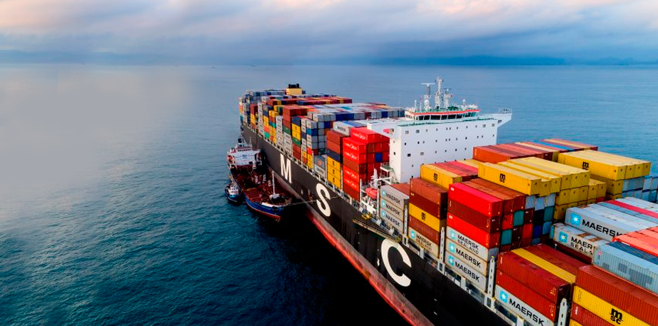Boom del sector portacontenedor impacta positivamente al transporte marítimo de graneles
