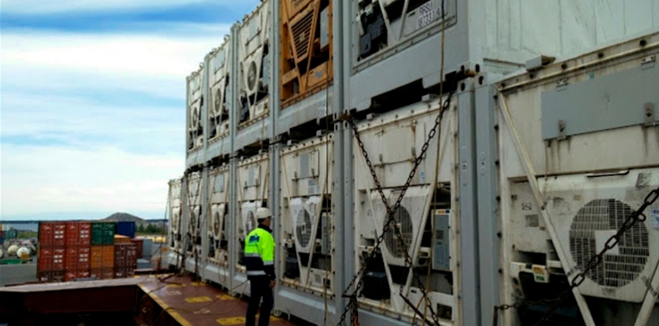 Tarifas de flete de contenedores refrigerados aumentaron más del 50% hasta el segundo trimestre de 2022